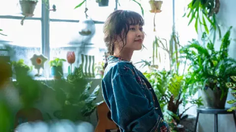 长沙新娘家凌晨巨蜘蛛倒影事件