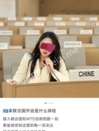 联合国名媛