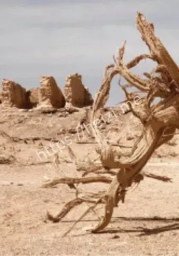 无人机航拍唐代建筑