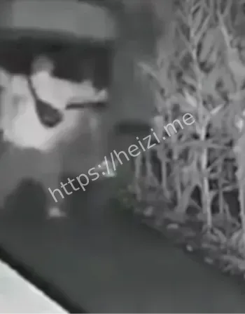 东北苞米地三轮车上激战监控