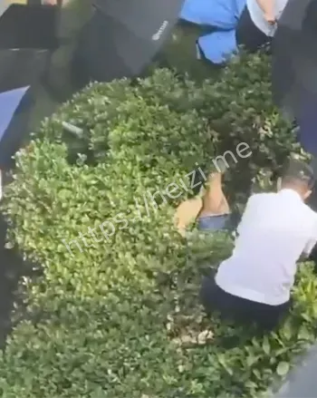 金海校区寝室跳楼视频