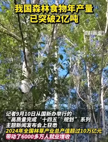 森林食物2亿吨