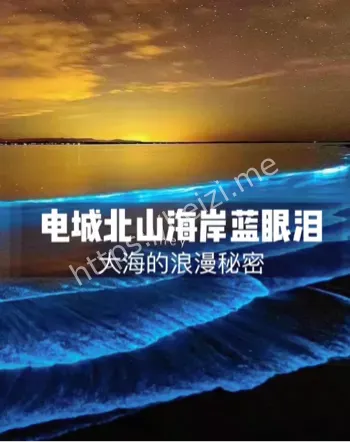 夜光藻生物发光机理