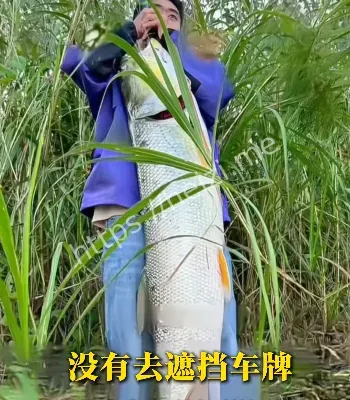 绑后备箱嘚瑟