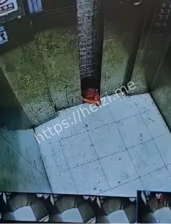 熊孩子扒门惨被卡