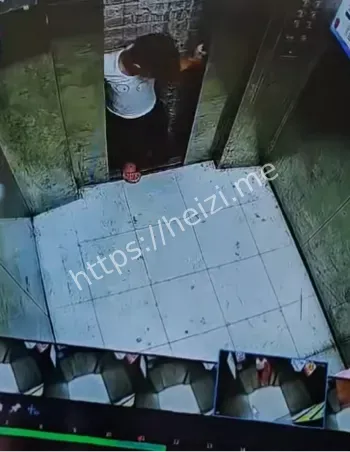 小孩电梯自救后续