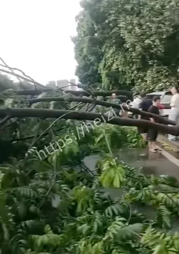 城市内涝应对指南