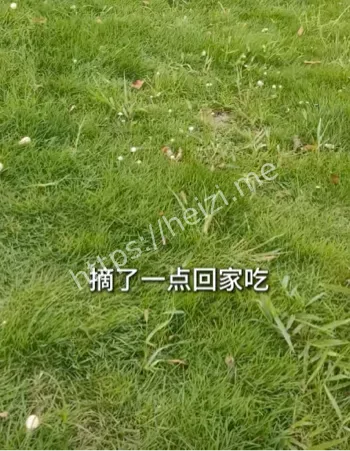 南艳湖游客翻车