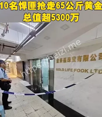 10悍匪专业劫金