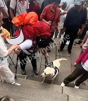 芬迪淋雨挨打网友呼吁