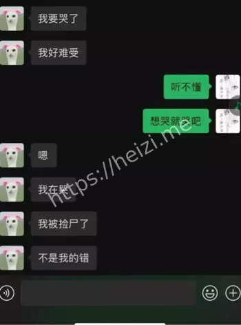 吉他张与索菲亚聊天记录曝光