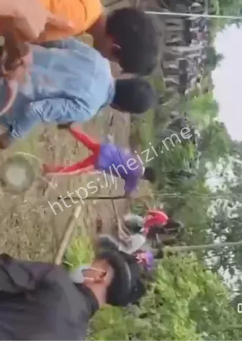 停火执行与地雷指控