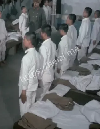 731部队细菌实验真相