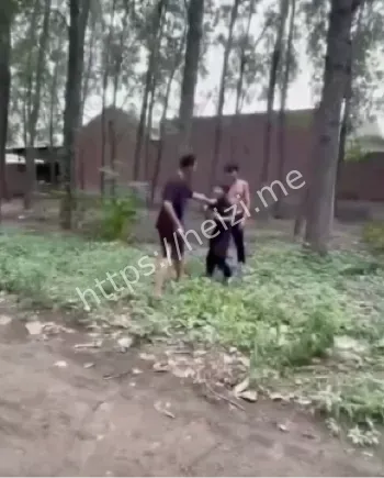 12岁男孩遭殴打全过程