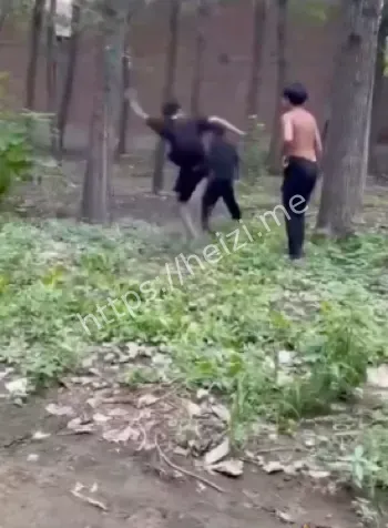 霸凌黑幕社会热议