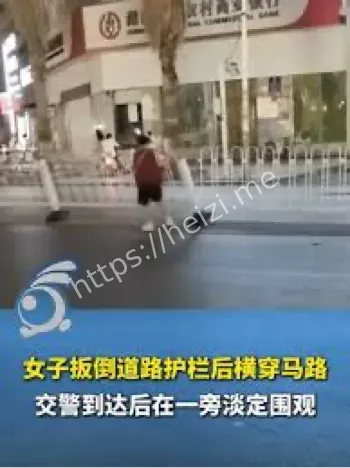 女子扳倒护栏事件