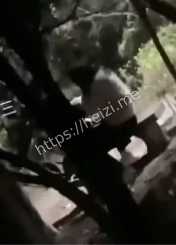 山东服装职业学院黄毛事件