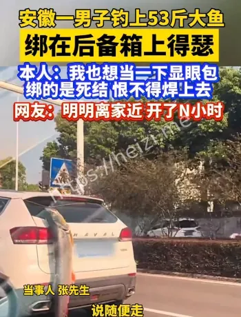 安徽铜陵鳡鱼事件