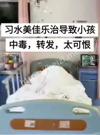 习水食品厂责任追责