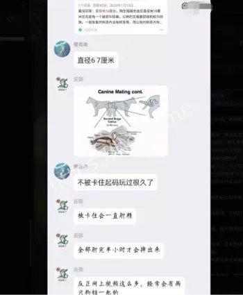杭州大姐宠物狗亲密互动