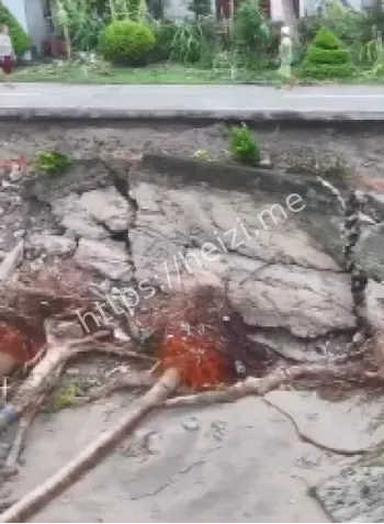 寸草不生现场图片