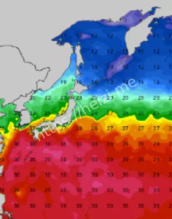 菲律宾台风过境破坏