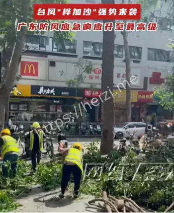 桦加沙台风应对