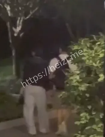 网红珊姐出轨后续