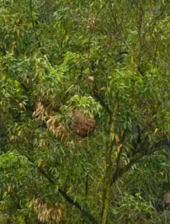 绳索缠颈事故成因