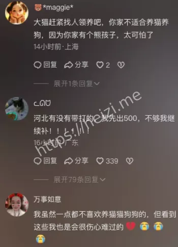 6岁男孩连续摔死奶猫