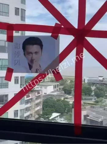 桦加沙实时路径与强度