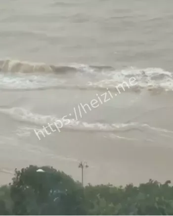 斗门香洲内涝处置