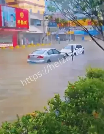 台风过后清淤与消杀