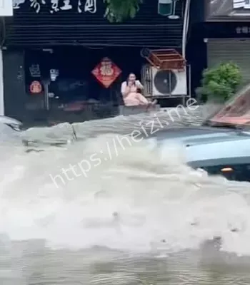 豪车司机任性酿祸