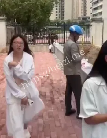 网传视频核查方法