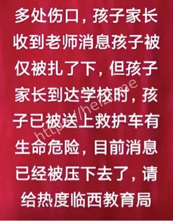 龙旺村第七小学