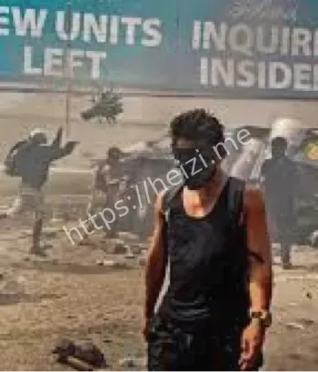 176亿美元资金去向