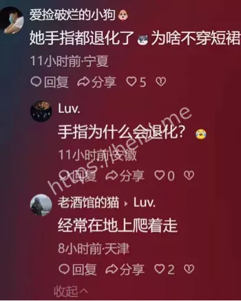 麦当劳项圈宠物抛弃史曝光