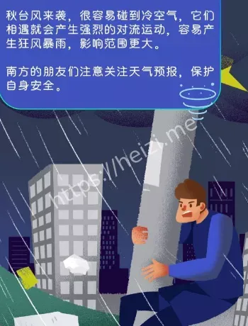 秋台风强度成因解析