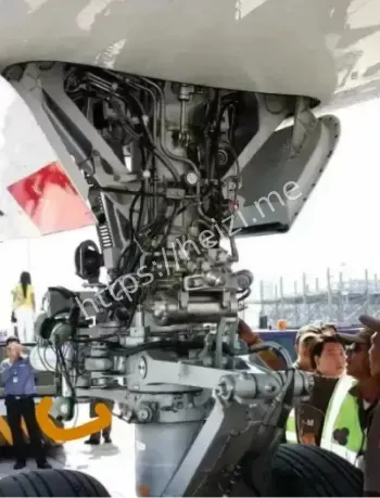 美国移民政策漏洞