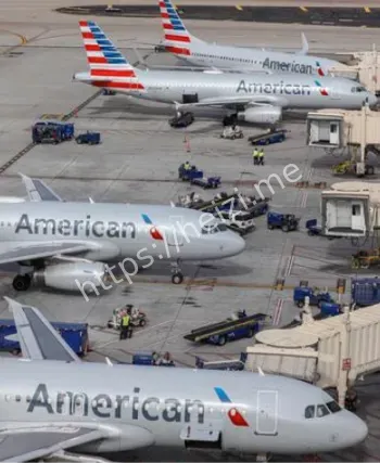 偷渡者高空冻死事件