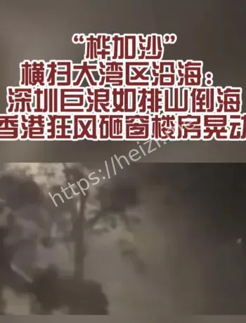 极端天气城市恢复力