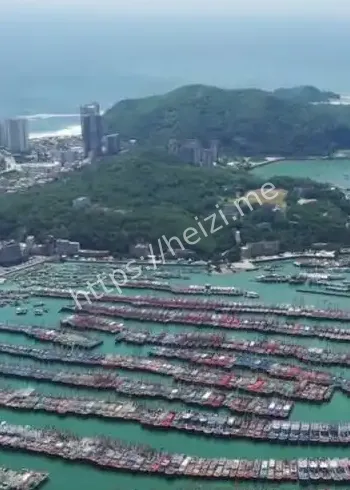 广东台风防御行动