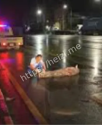 凌晨豪华车撞死捡垃圾老人