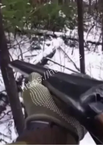 亲人惨死家庭悲剧