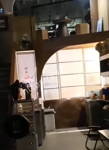 17岁男孩永动机