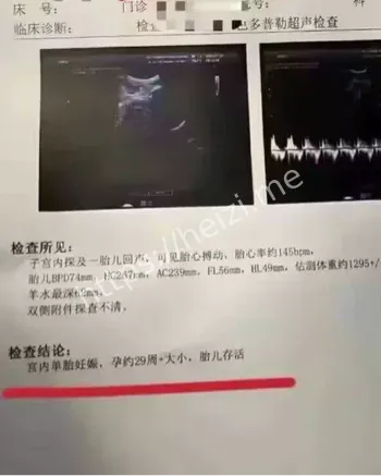 百丽宫员工恋情八卦