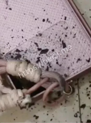 小米13突然爆炸