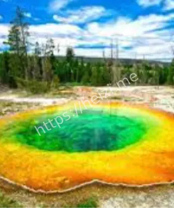 嗜热菌彩虹画家