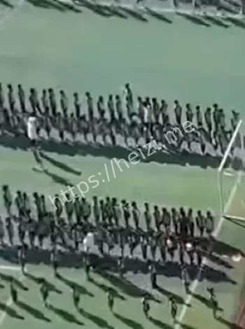 广西南宁小学暴力教育反思